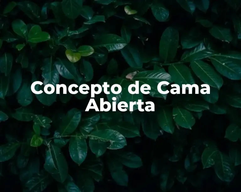 Concepto de Cama Abierta