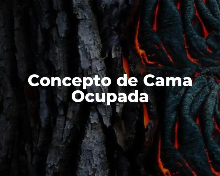 Concepto de Cama Ocupada