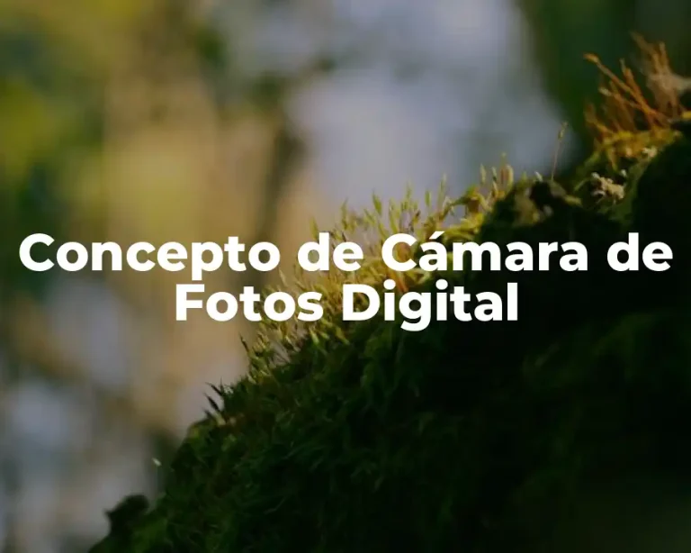 Concepto de Cámara de Fotos Digital