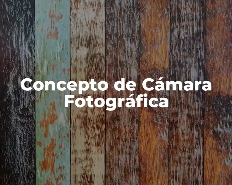 Concepto de Cámara Fotográfica