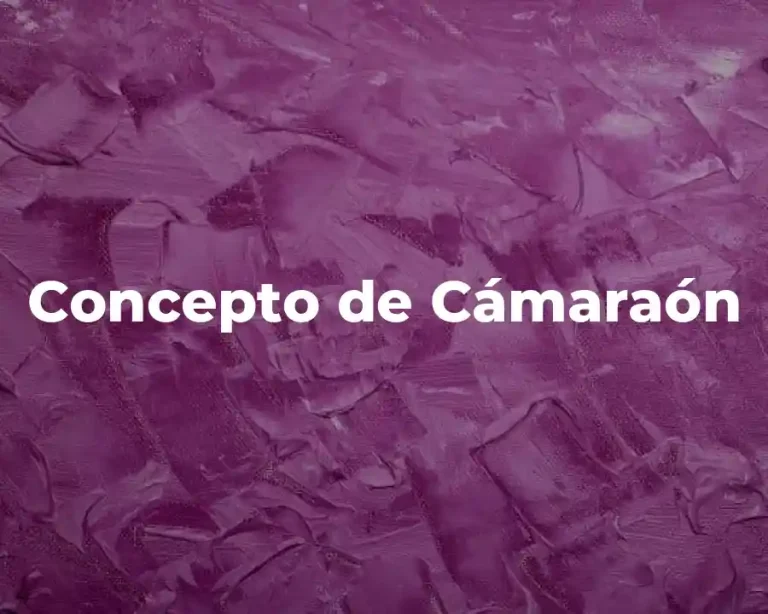 Concepto de Cámaraón