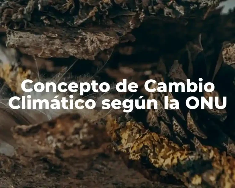 Concepto de Cambio Climático según la ONU