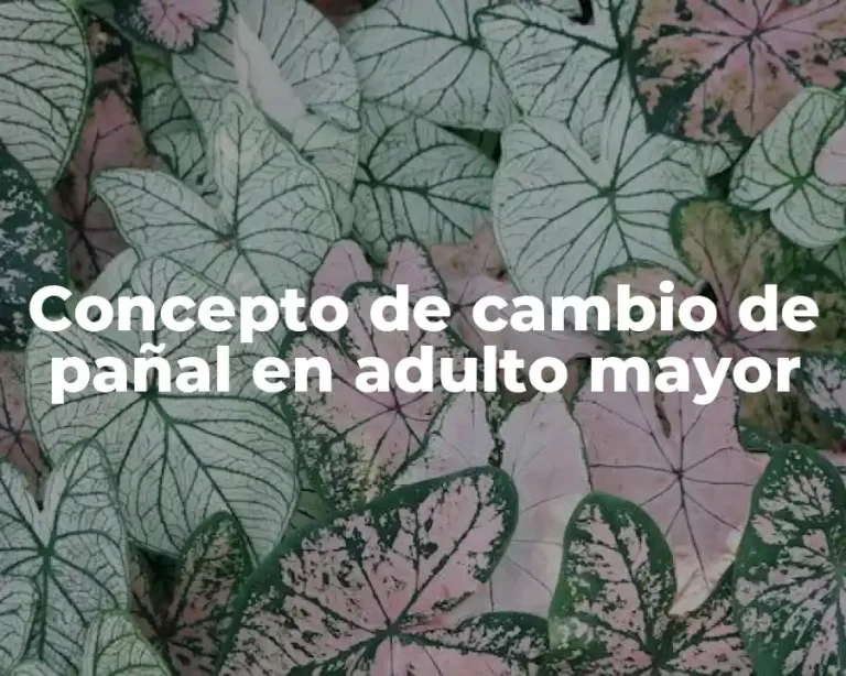 Concepto de cambio de pañal en adulto mayor