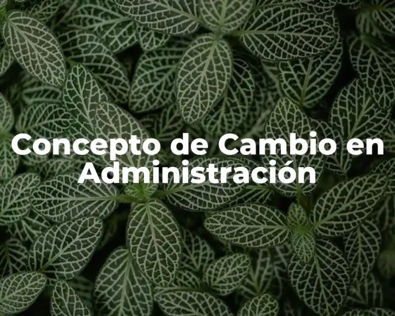 Concepto de Cambio en Administración