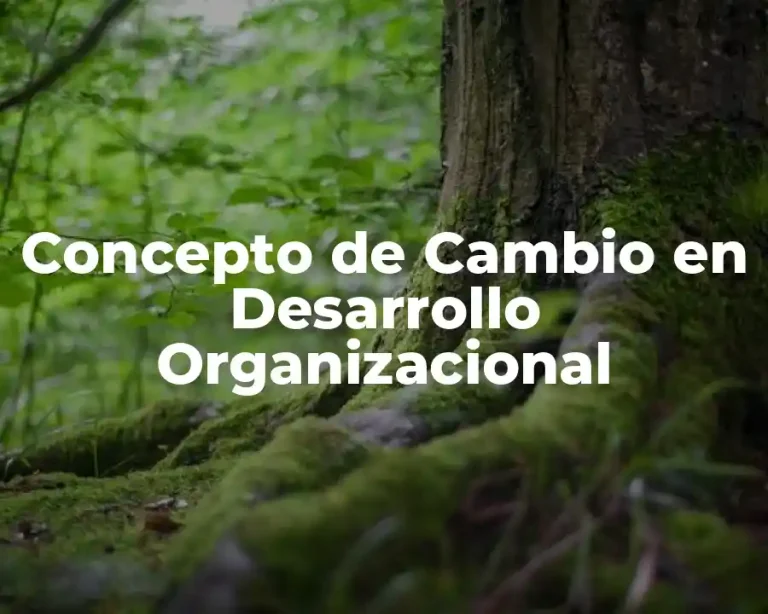 Concepto de Cambio en Desarrollo Organizacional