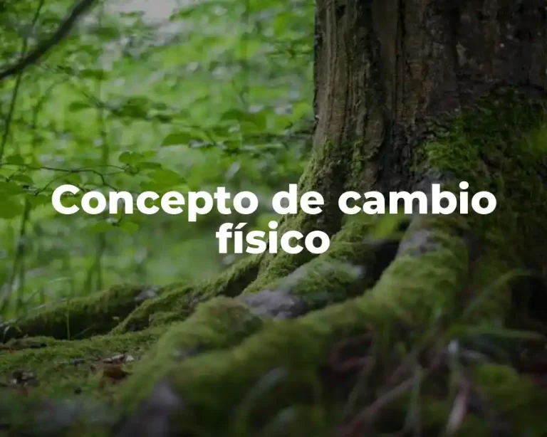 Concepto de cambio físico