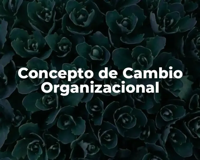 Concepto de Cambio Organizacional