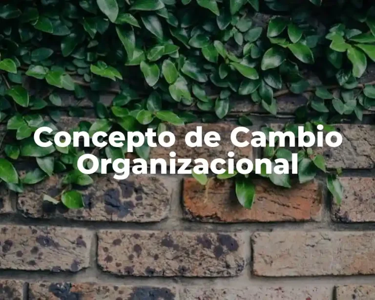 Concepto de Cambio Organizacional