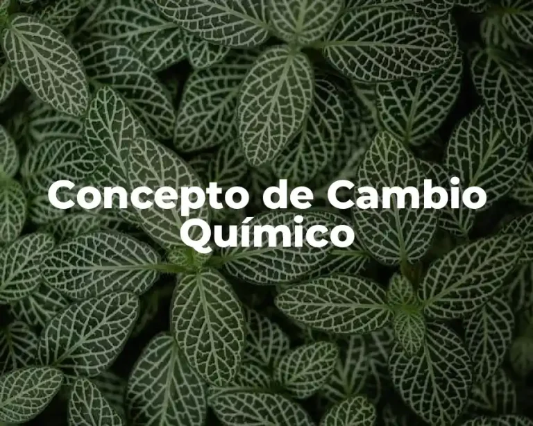 Concepto de Cambio Químico