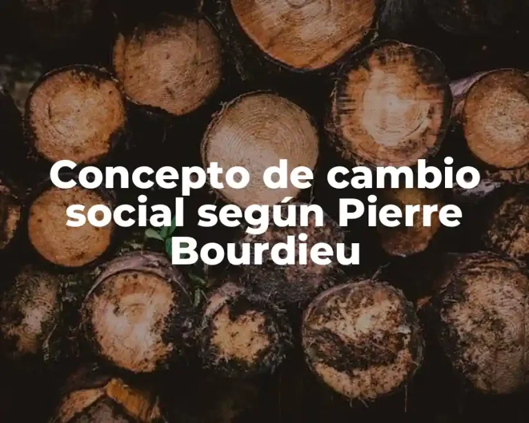 Concepto de cambio social según Pierre Bourdieu