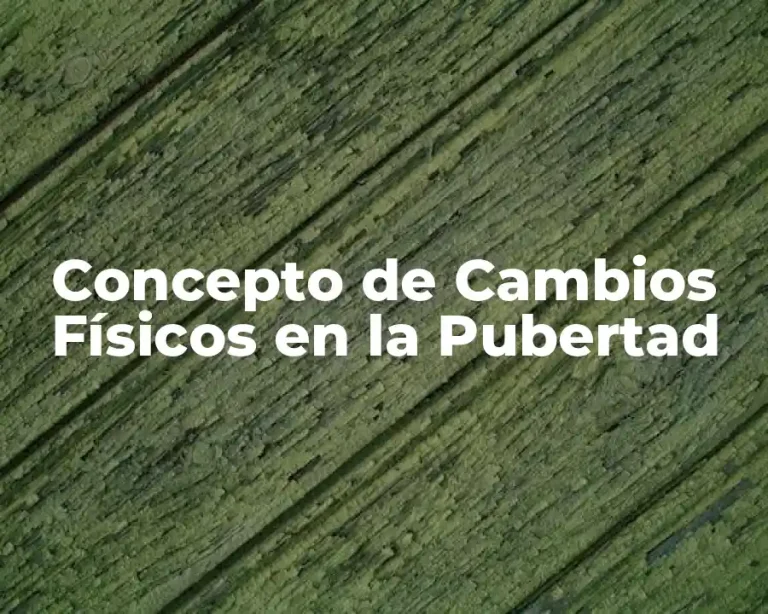 Concepto de Cambios Físicos en la Pubertad