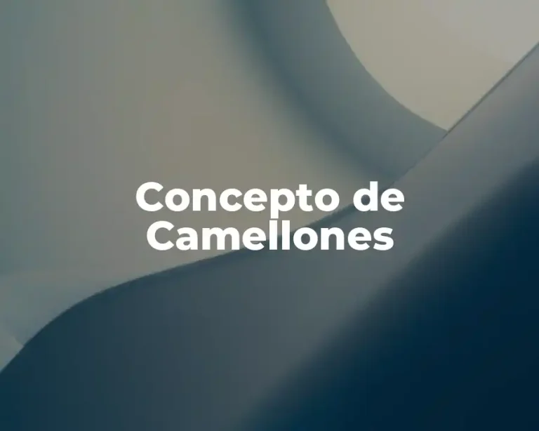 Concepto de Camellones