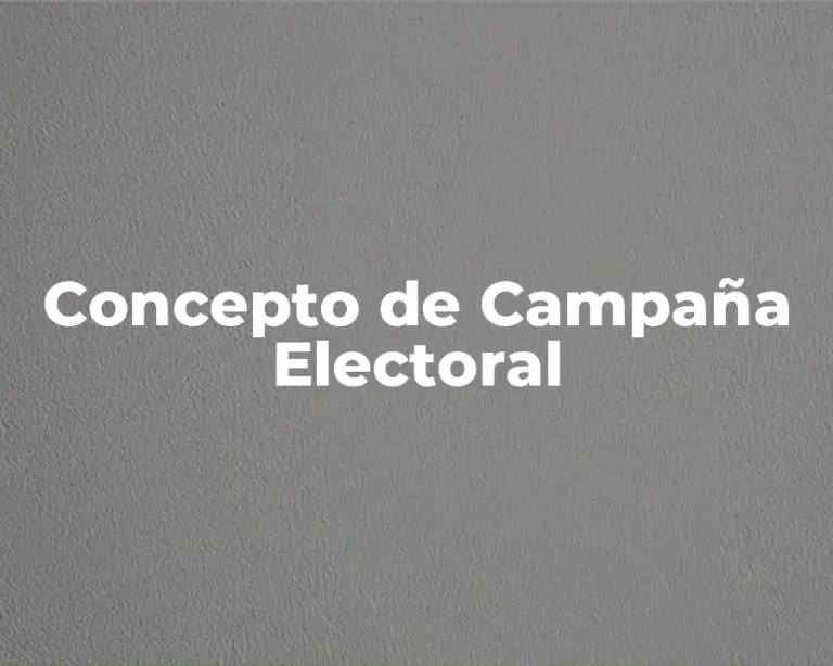 Concepto de Campaña Electoral