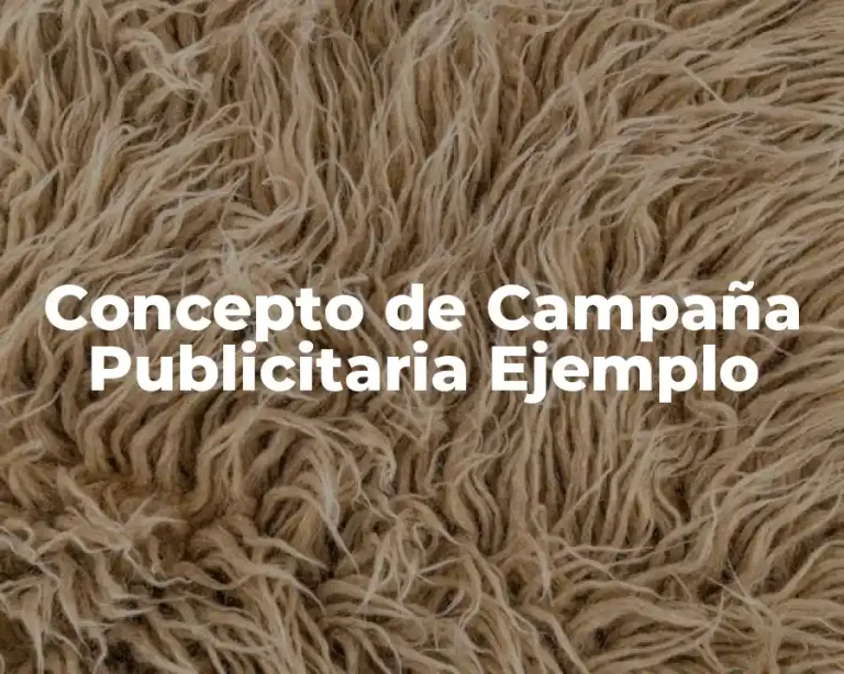 Concepto de Campaña Publicitaria Ejemplo