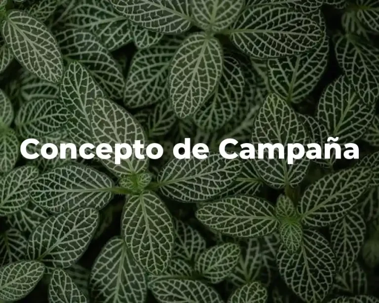 Concepto de Campaña
