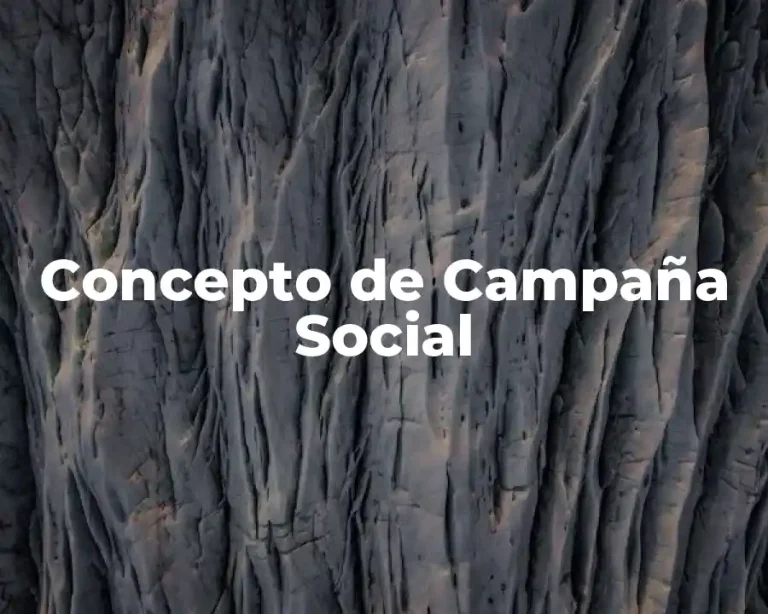 Concepto de Campaña Social