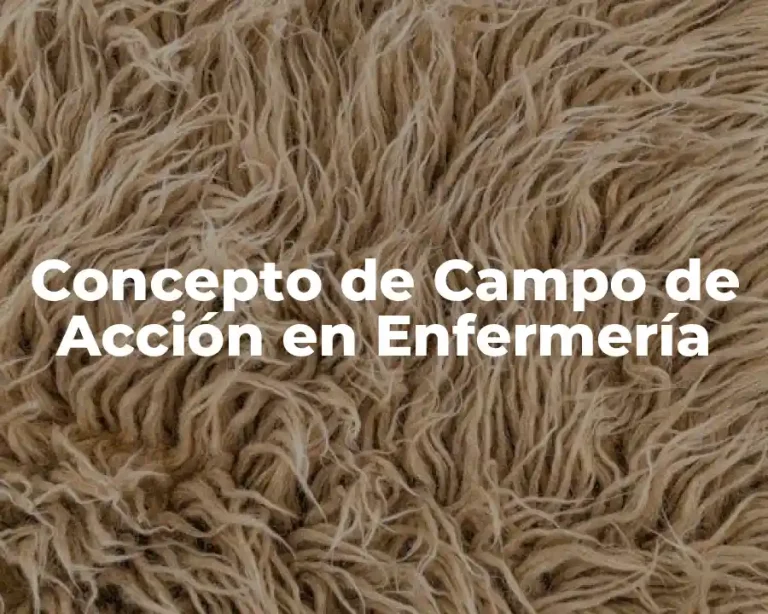 Concepto de Campo de Acción en Enfermería