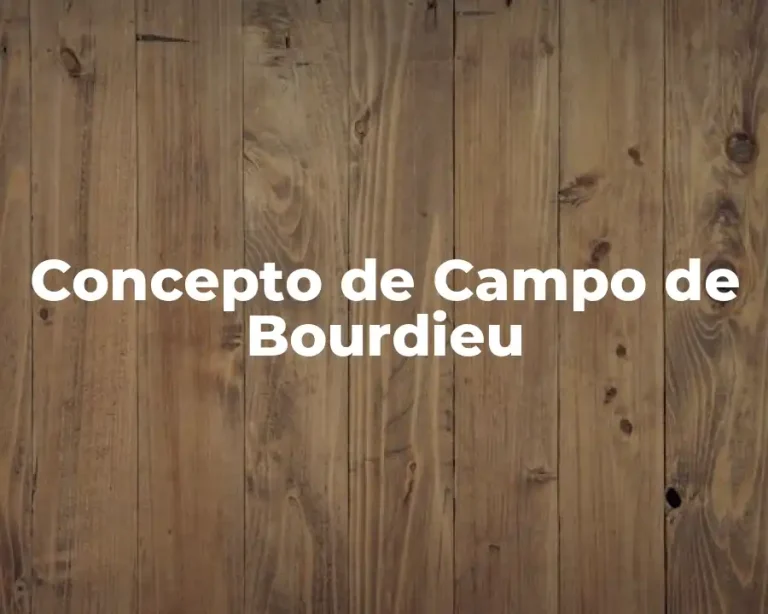 Concepto de Campo de Bourdieu