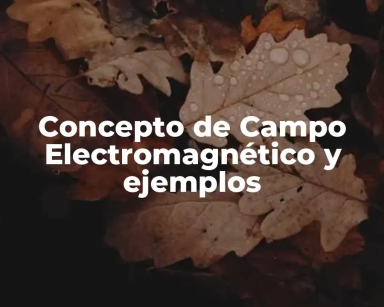 Concepto de Campo Electromagnético y ejemplos