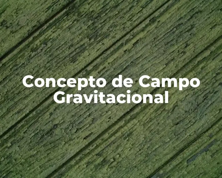 Concepto de Campo Gravitacional