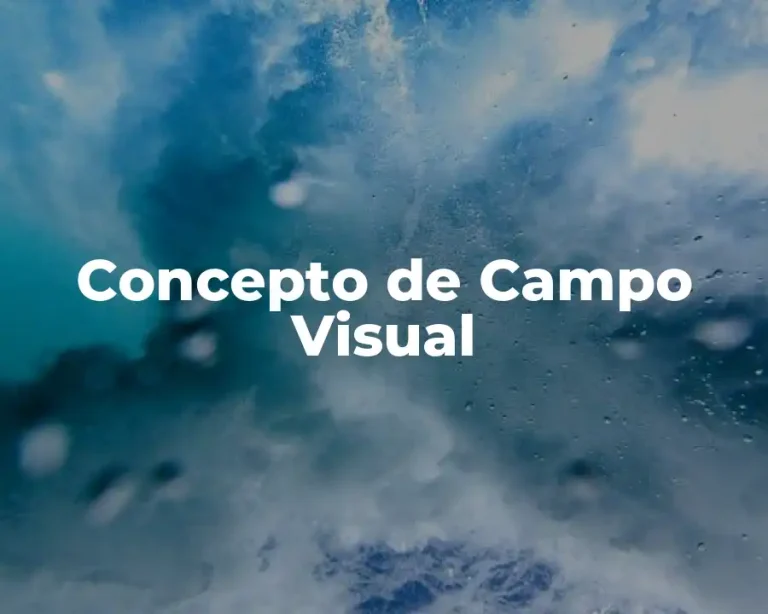 Concepto de Campo Visual
