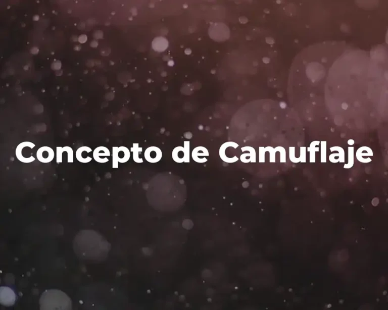 Concepto de Camuflaje