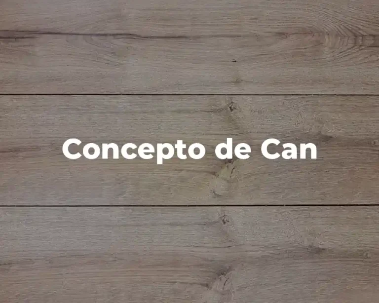 Concepto de Can