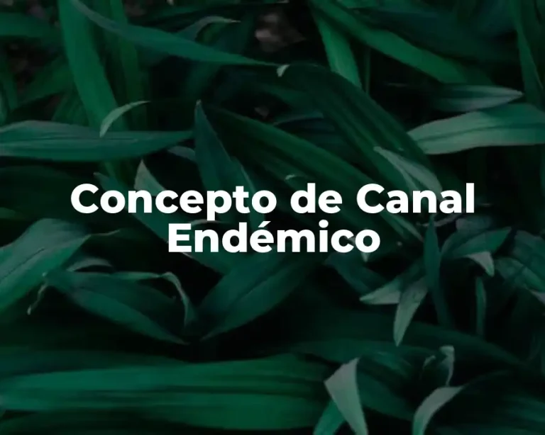 Concepto de Canal Endémico