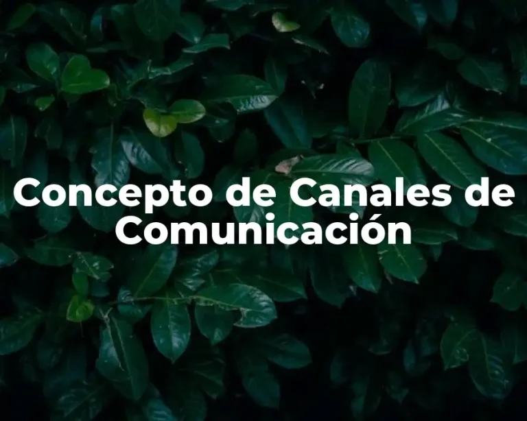 Concepto de Canales de Comunicación