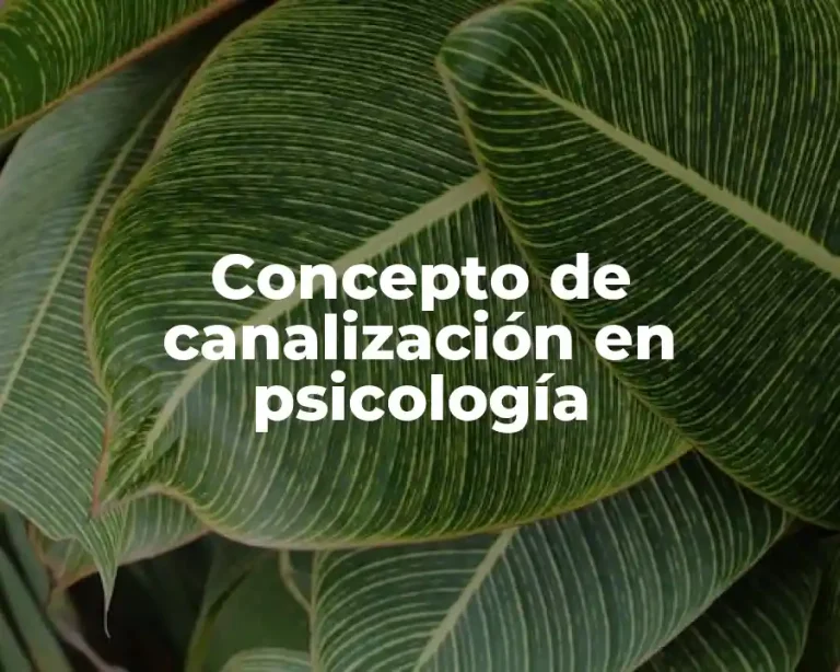 Concepto de canalización en psicología