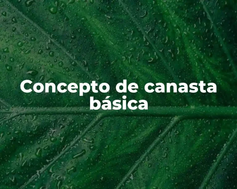 Concepto de canasta básica