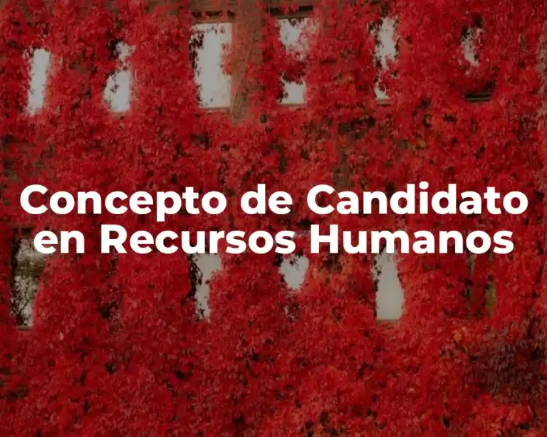 Concepto de Candidato en Recursos Humanos