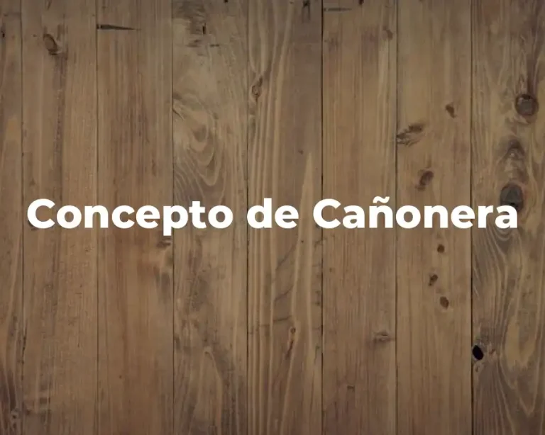 Concepto de Cañonera