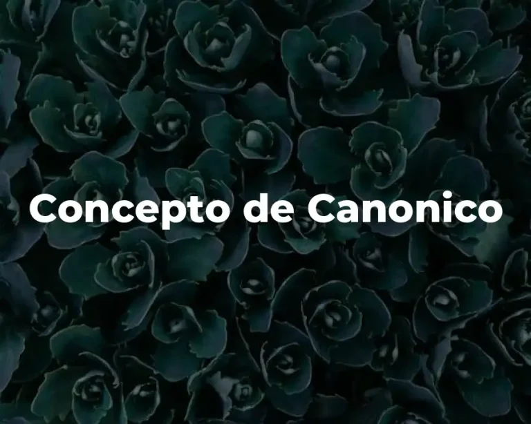 Concepto de Canonico