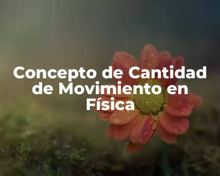 Concepto de Cantidad de Movimiento en Física