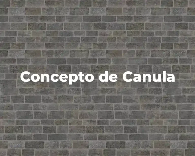 Concepto de Canula