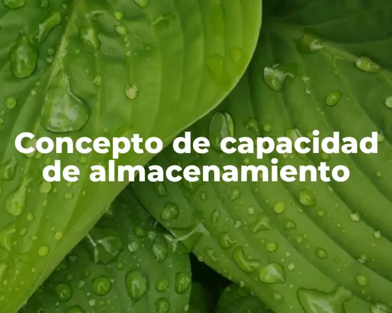 Concepto de capacidad de almacenamiento