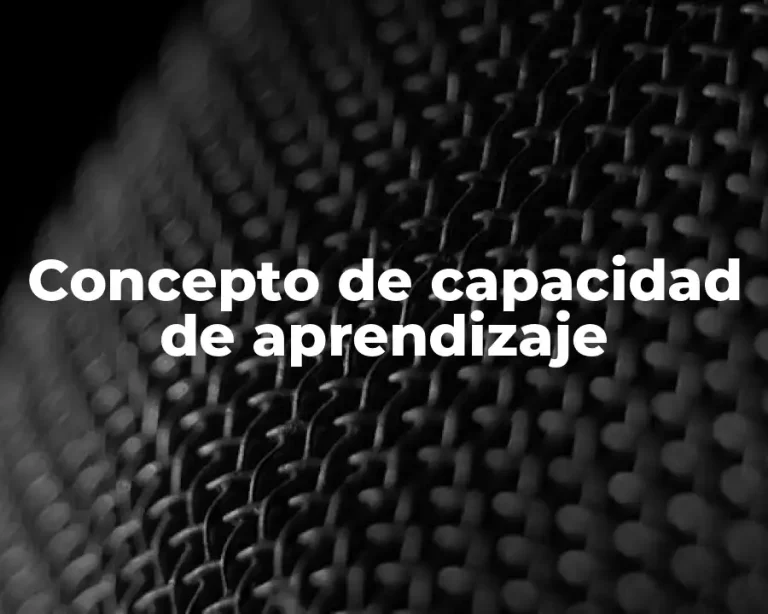 Concepto de capacidad de aprendizaje