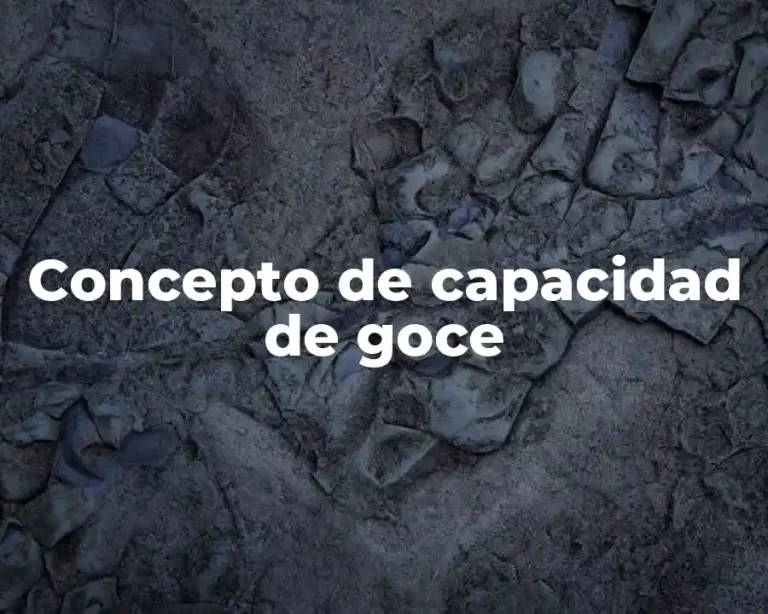 Concepto de capacidad de goce