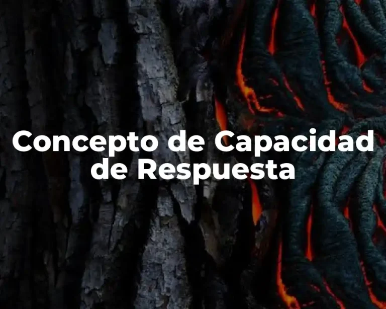Concepto de Capacidad de Respuesta