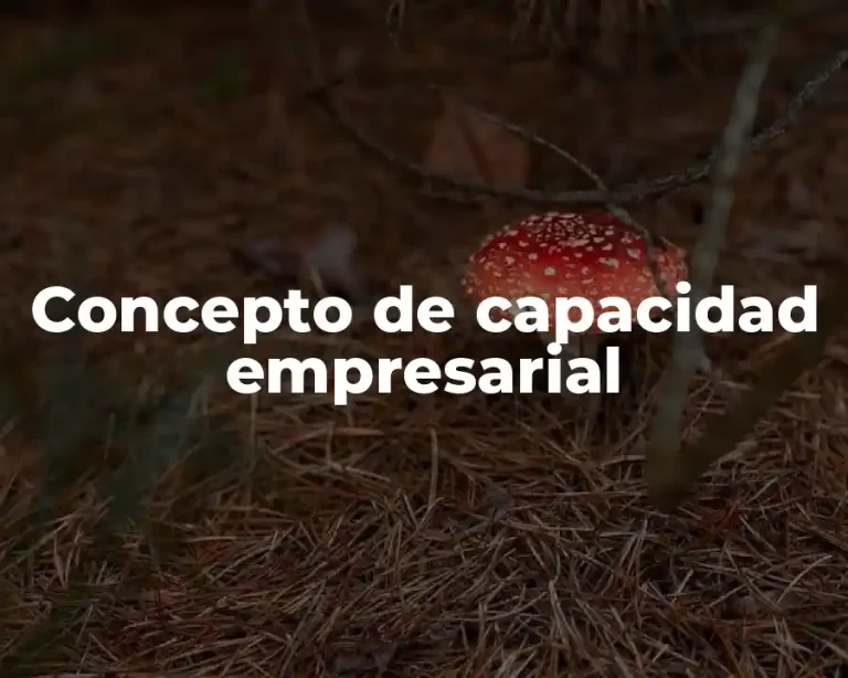 Concepto de capacidad empresarial