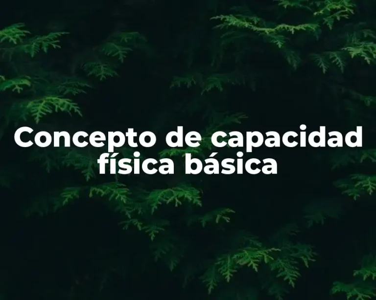 Concepto de capacidad física básica