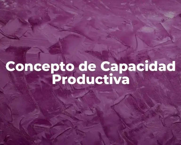 Concepto de Capacidad Productiva