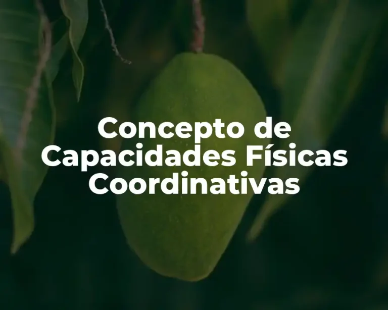 Concepto de Capacidades Físicas Coordinativas