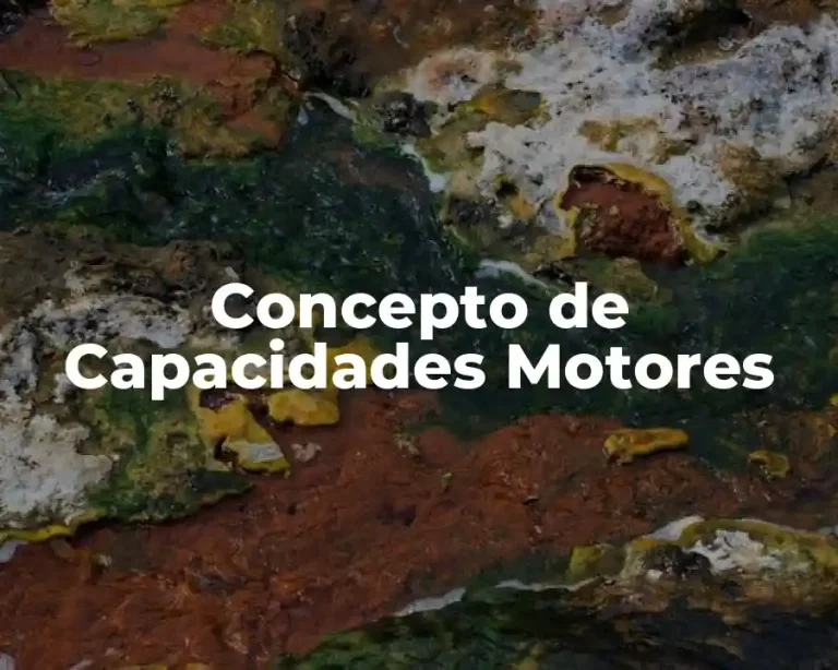 Concepto de Capacidades Motores