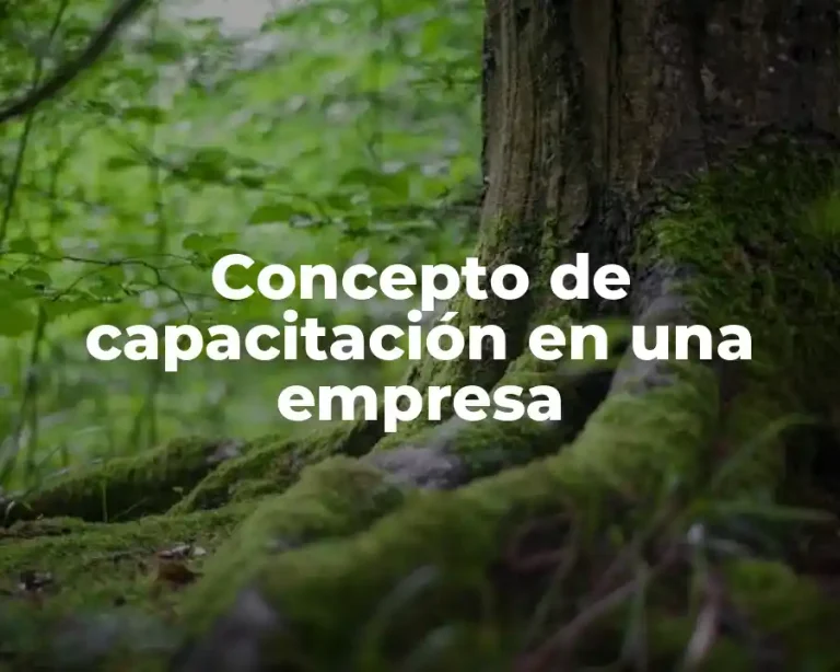 Concepto de capacitación en una empresa