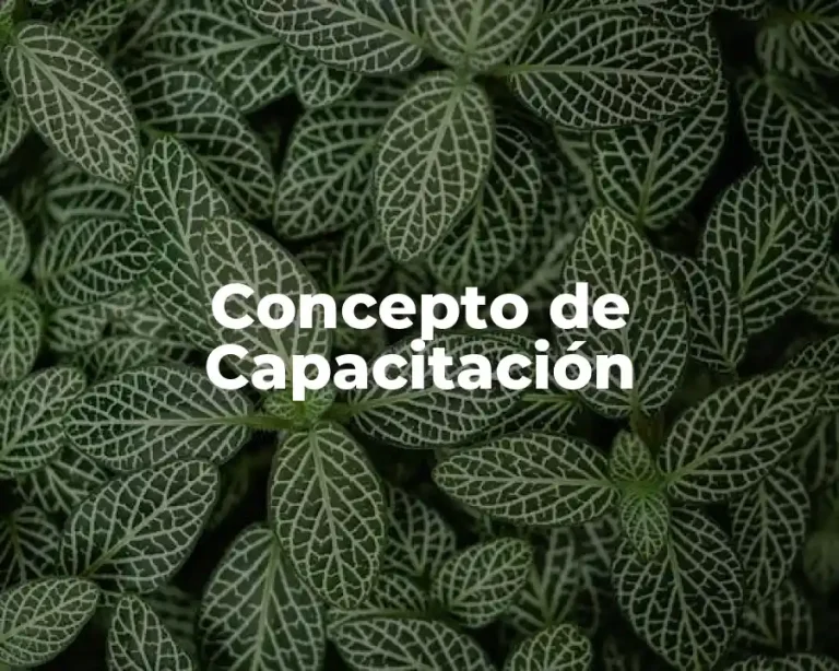 Concepto de Capacitación