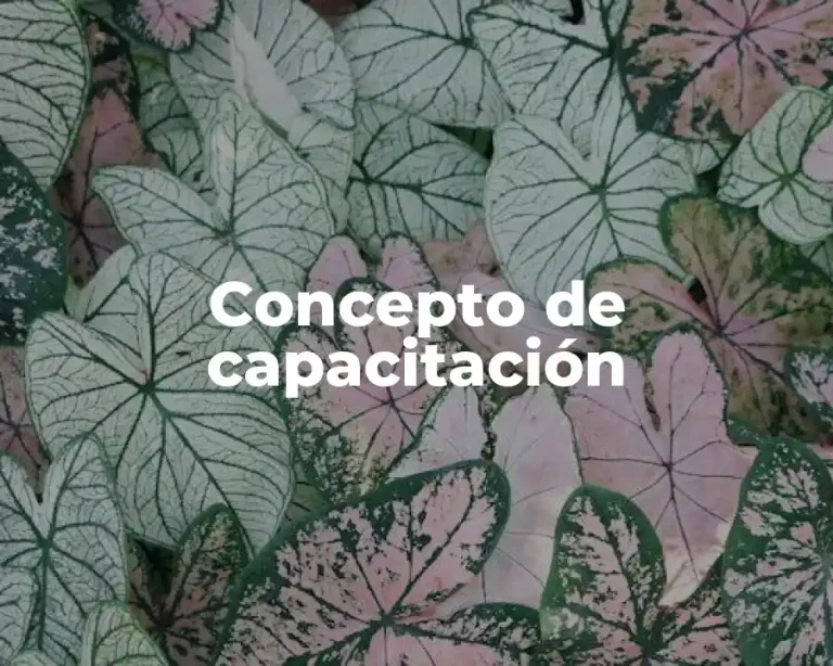 Concepto de capacitación