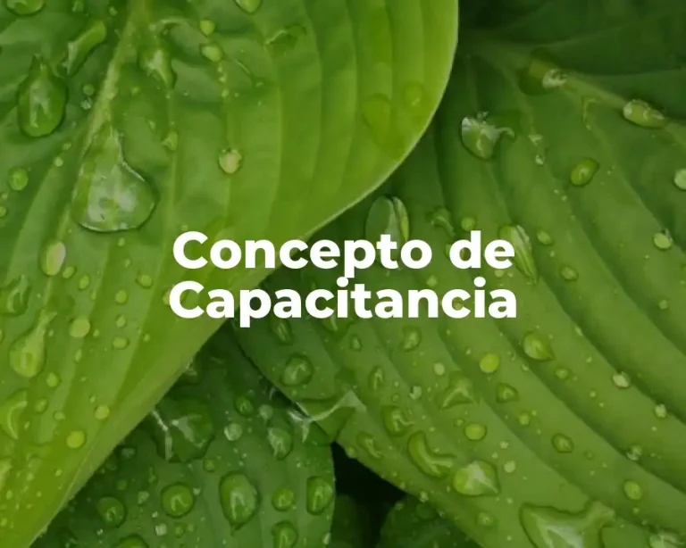 Concepto de Capacitancia