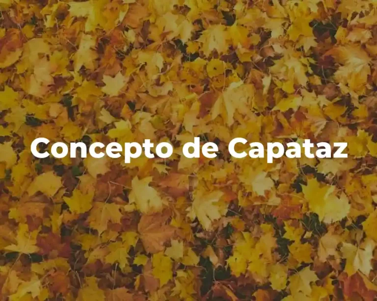 Concepto de Capataz